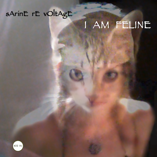 I AM FELINE.png